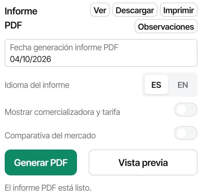 Informe en PDF: idioma español o inglés, generar PDF y vista previa